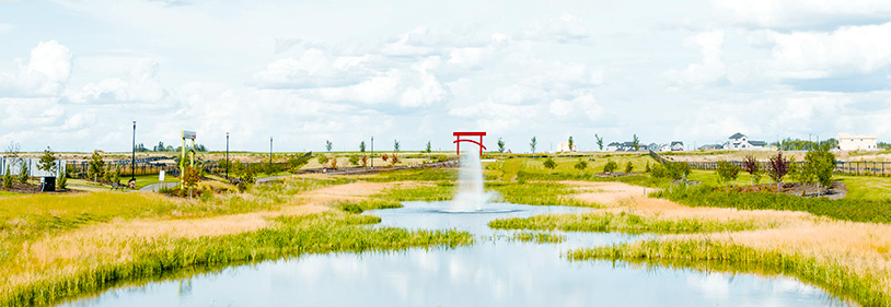 Cambrian with Japanese arch and pond