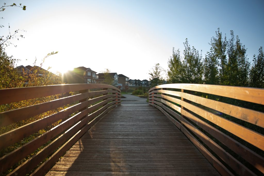 Starling bridge photo